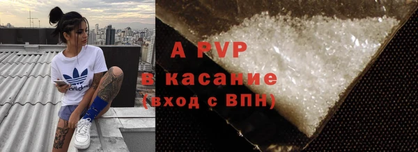 spice Алзамай