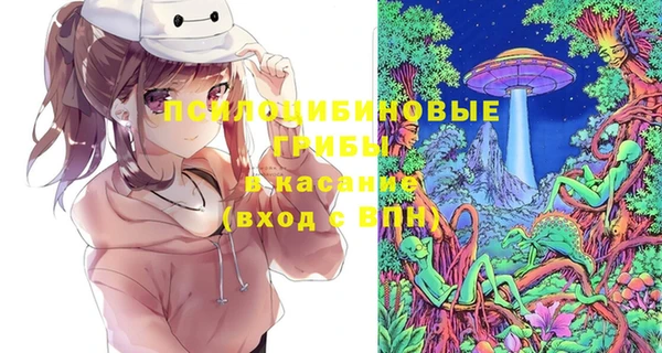 крисы Аркадак